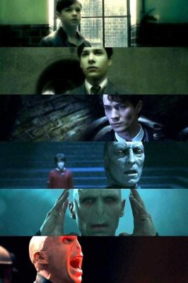 how did voldemort die in the books? and what if he had survived?