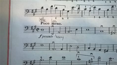 What Does Poco Mean in Music? An Examination of its Many Layers and Interpretation